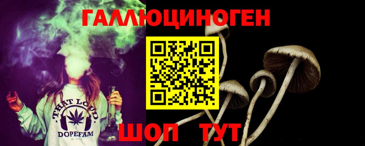 купить закладку  Вход с VPN  Иркутск  Псилоцибиновые грибы мухоморы 
